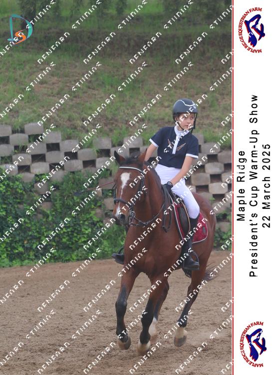 8776459 - 8gl55xpfmicjzdn