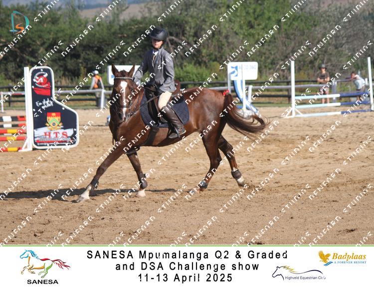 8996639 - sfsz2xf3r3nfhal