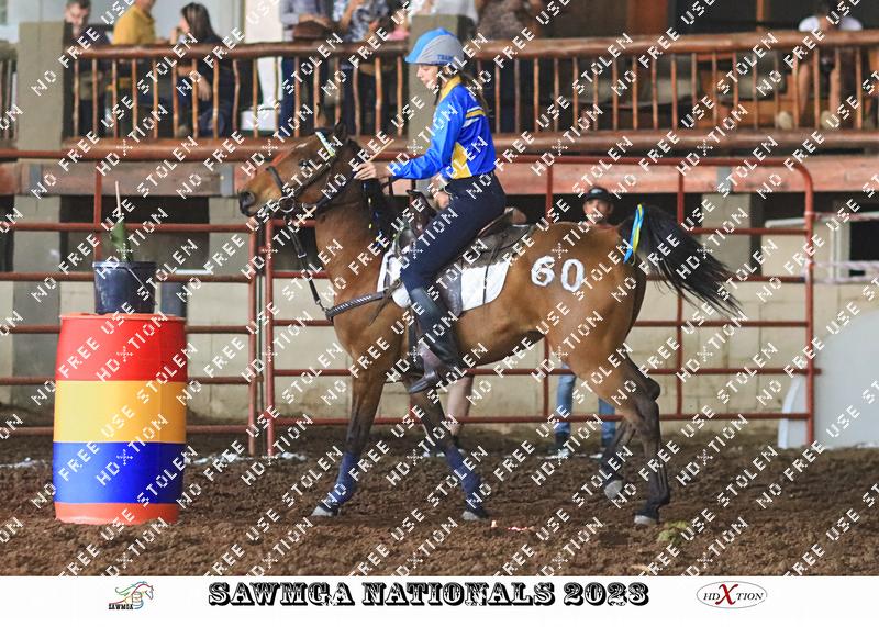 3726182 - gymbeskmka