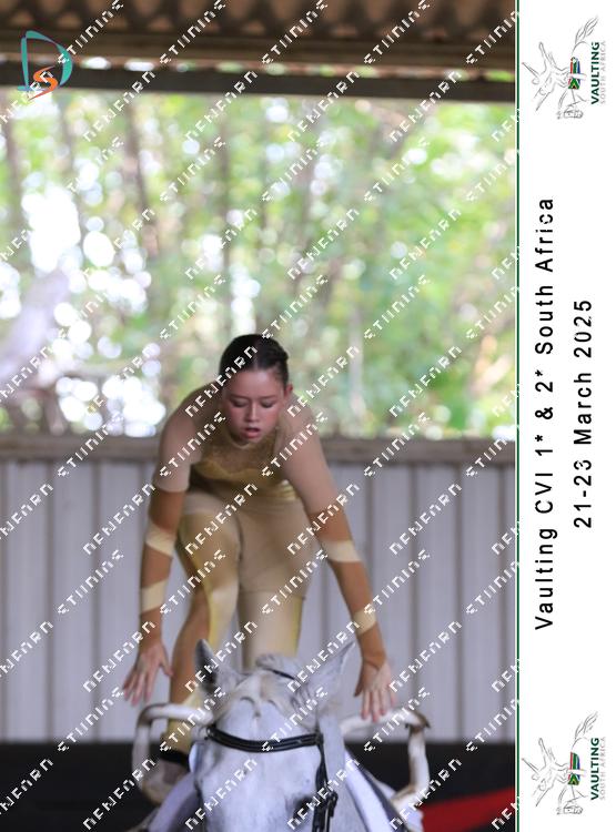 8752128 - gmvav44ttrjvhpa