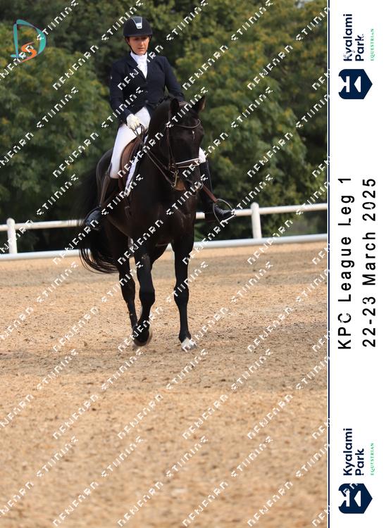 8792049 - hniuz8aeceajq23