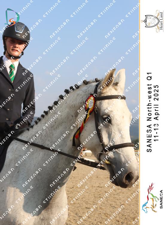 8937280 - wjpw9fv6avjgs43