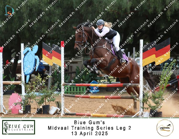 9006240 - zpfzimnehrhy4lk