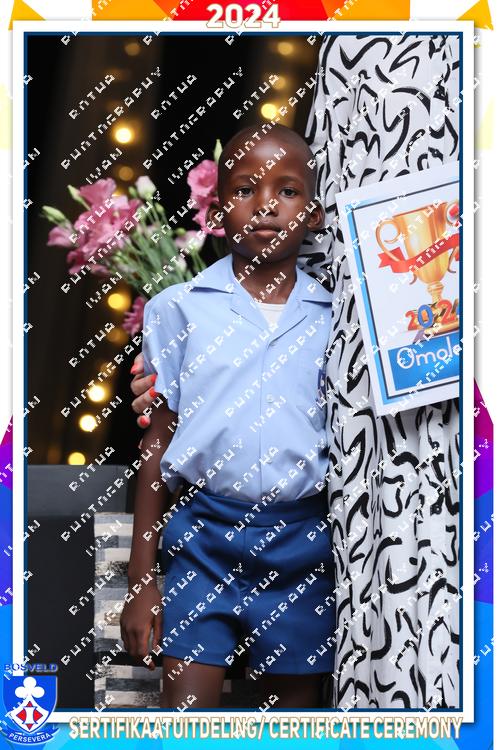 8153845 - zw4y8k9hcpp29ga