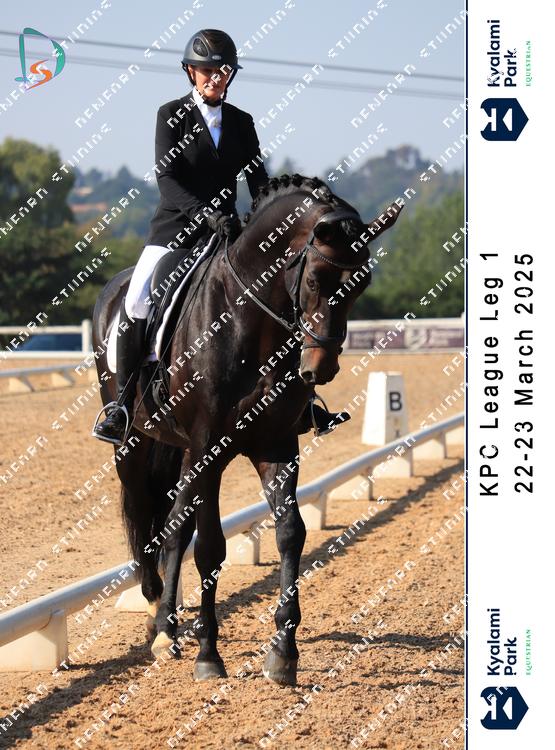 8780880 - nuypuowkcjsjaex