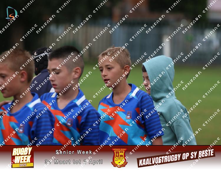 8881946 - hpedbka4x7gmpvy