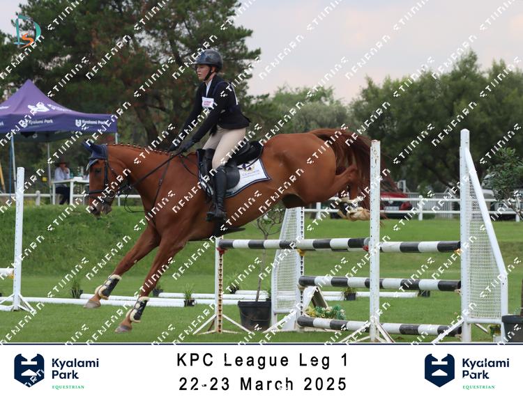8765587 - 4nzhc7xvh3fp5dt