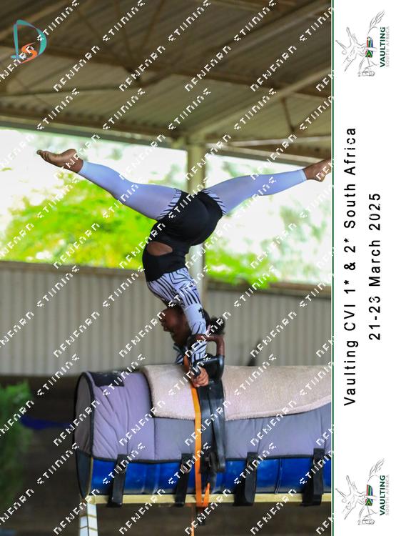 8779613 - 6vrtajuaqvq7dsh