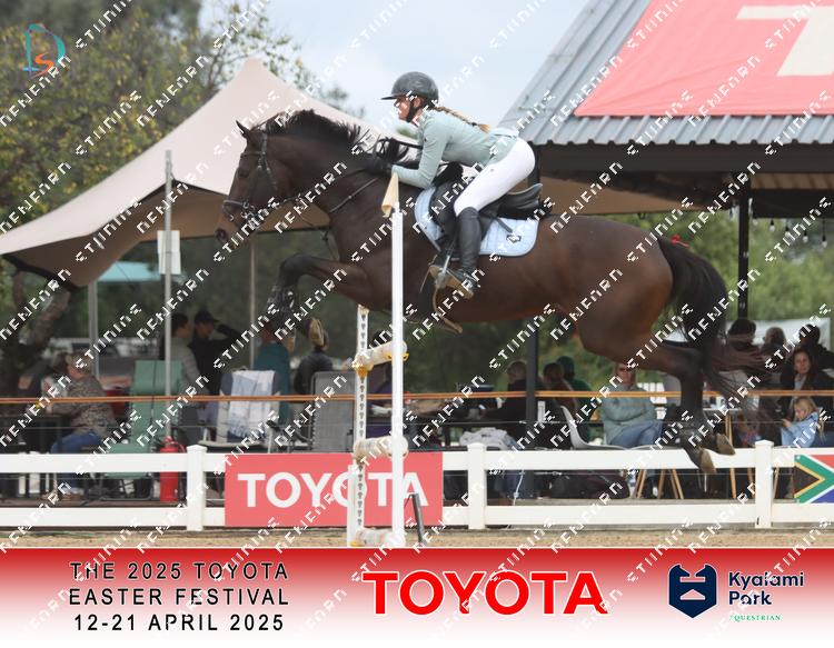 9094935 - hqmit5prgx5ndtc