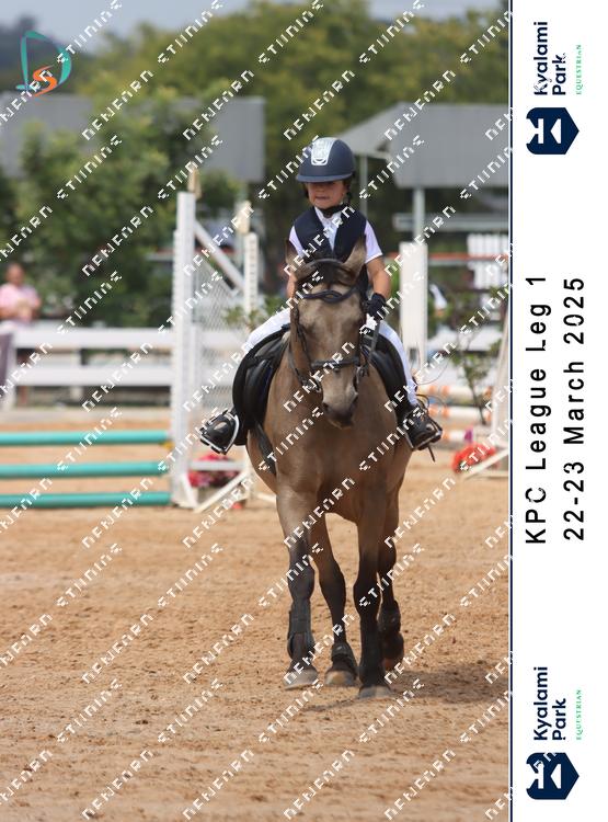 8795455 - 7hpuva4uxhotktp