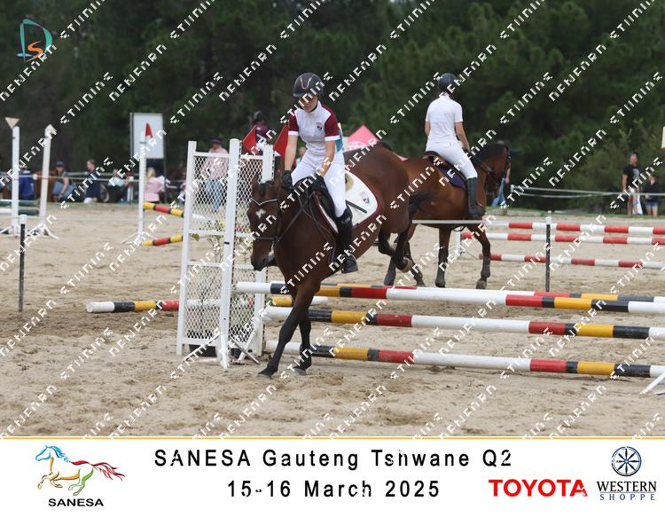 8731953 - jwdo8qh96cqnnd4