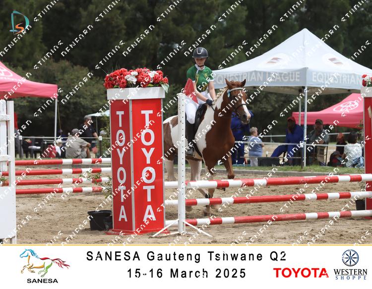8732014 - 2ftyg66umokgfrt