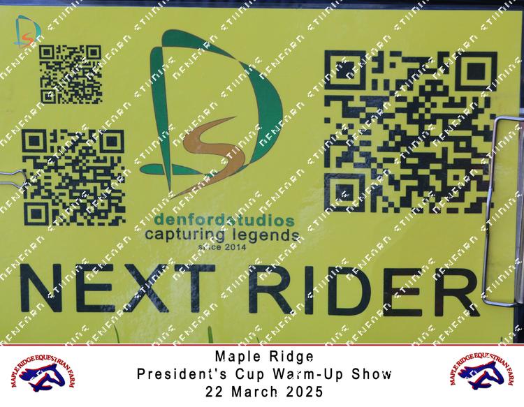 8771068 - 3nwnsds4d2n2zsy