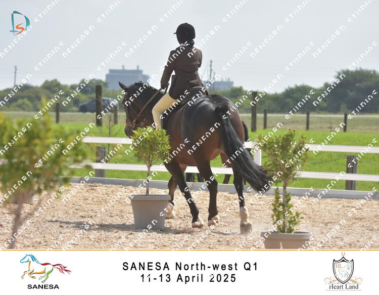 8982987 - jzzyat3qgm7spec