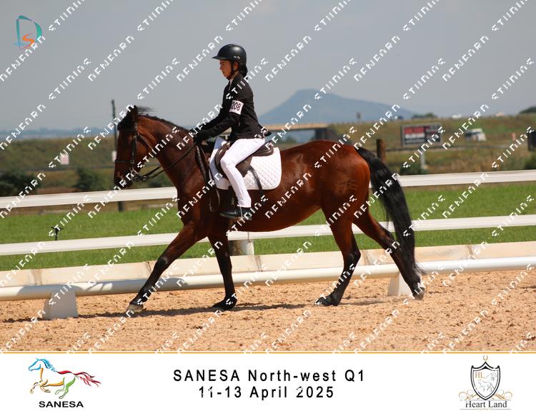 9011985 - eg4myf6kw2equyh