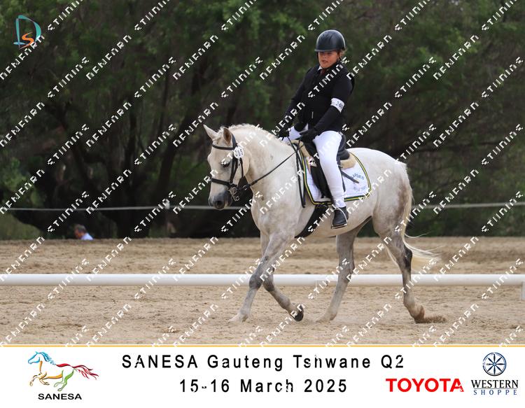 8732323 - pp7zsbeef3wkgsd