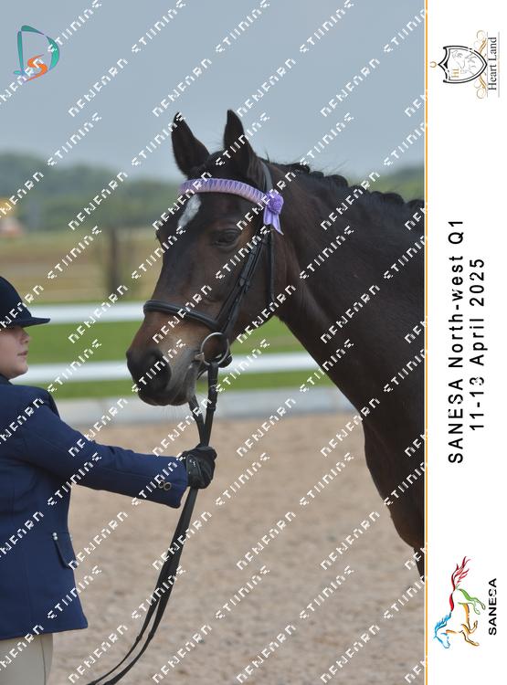 8982015 - lu3esacdp366qfz