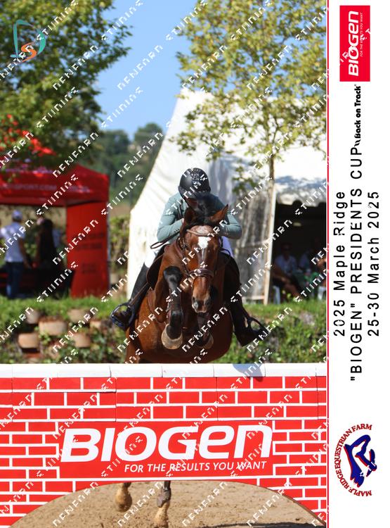 8855079 - zug5ucctafdxmgb