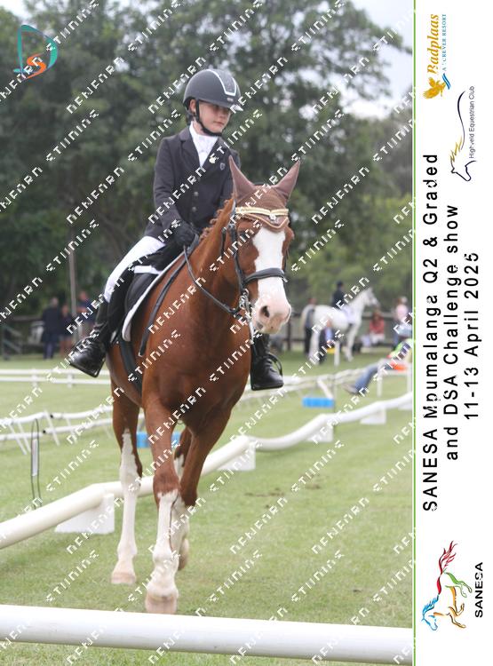 8968600 - gmcq9rrdk6xdgan