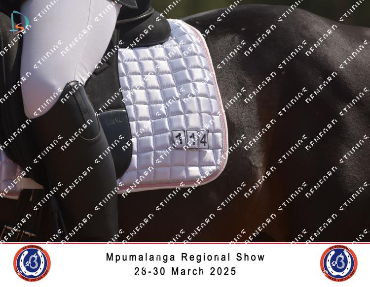 8854075 - qxzgnzcilvmmvdh