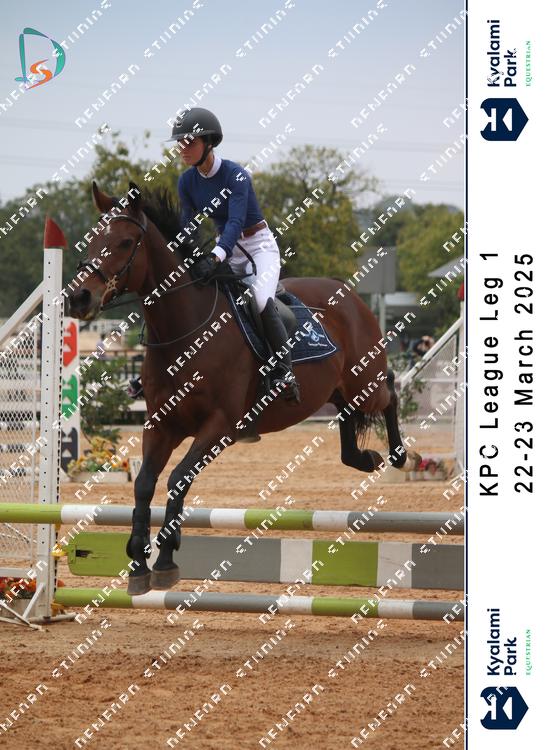 8766883 - vs4hshvgovkxbav