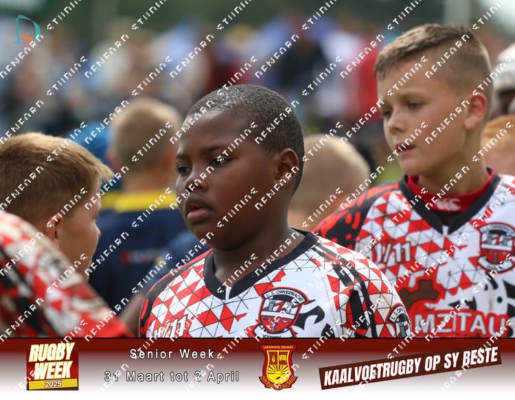 8876366 - jzknemurcpxpuxf