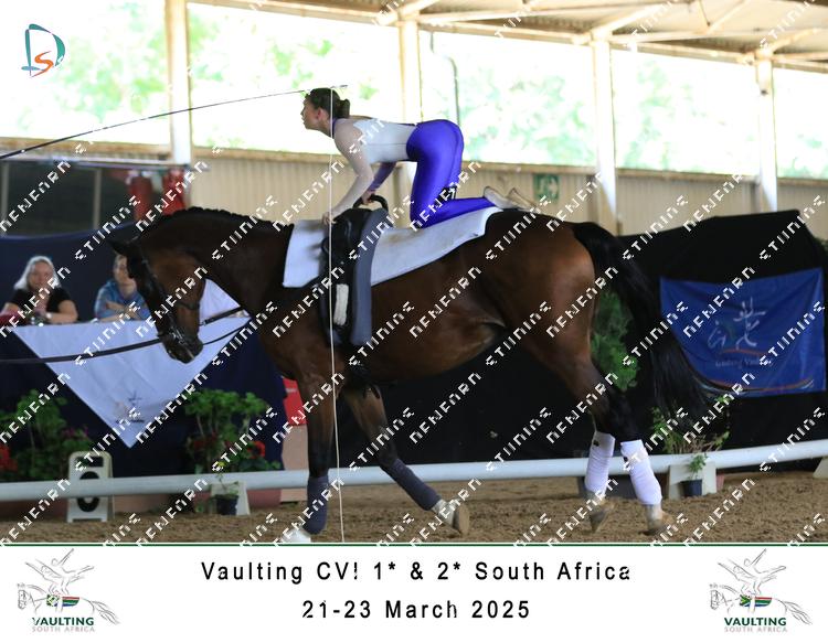8751008 - xv7vsorxmjqryqa