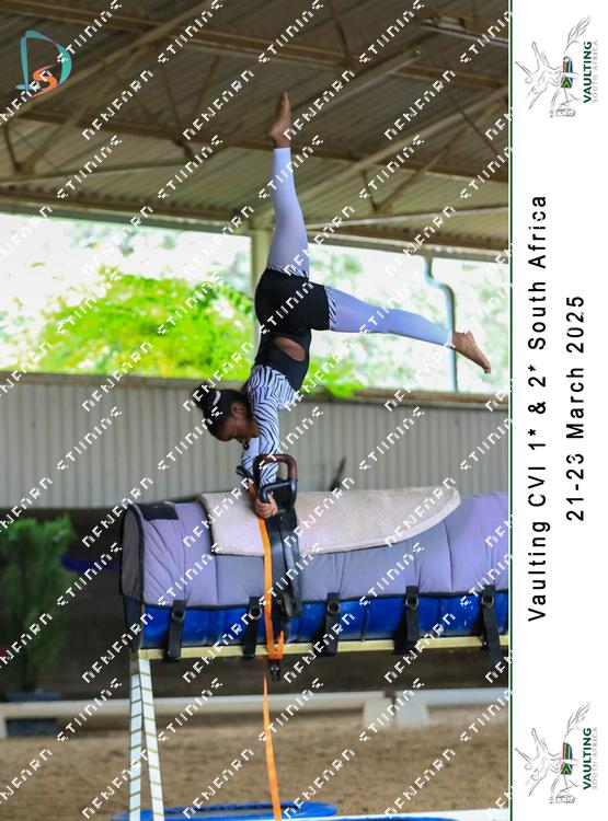 8779475 - 2yzmrhxerpzjfvu