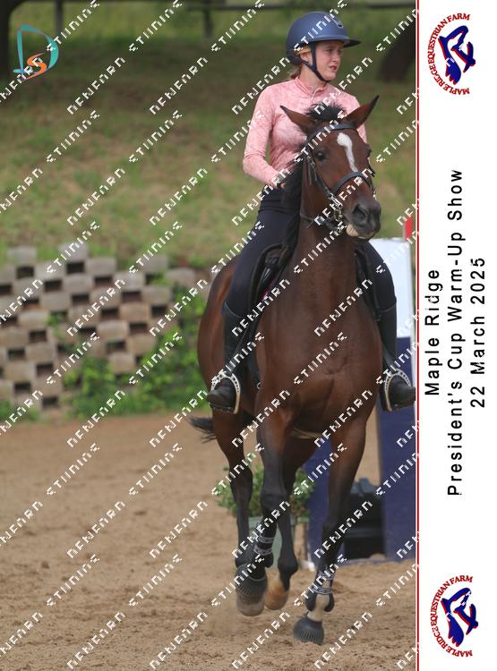 8776156 - evf2rq6oqxdxwng