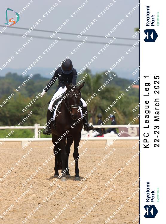8785780 - eenevgyvxatlfw7