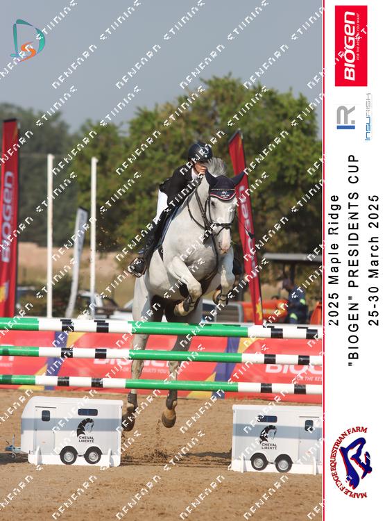8805812 - jzhvyy8uctqemgz
