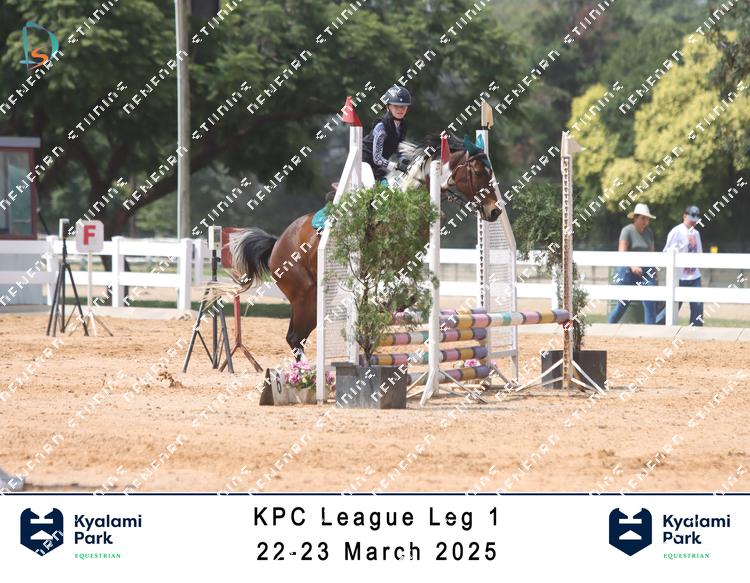 8786558 - tcv2nvb6eq26hmx