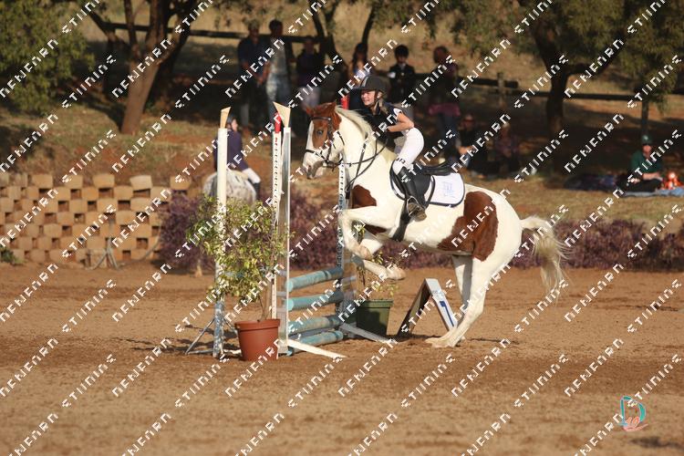 8183630 - dn2m249mysfunaq