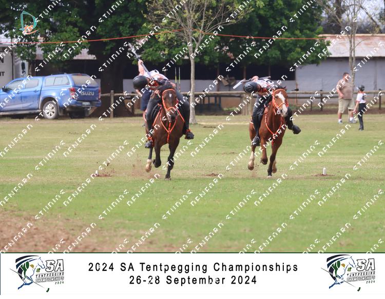 7799135 - 6ojxv6wgcjl2vnq