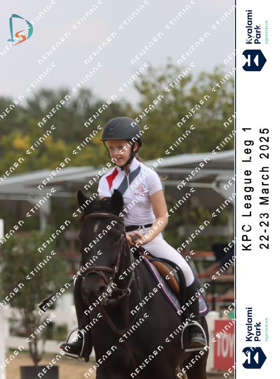 8795681 - zu5vh7ganhyhtne