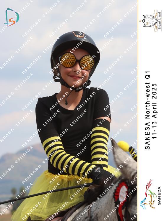 9015114 - qcl4zucc3mdxv2a