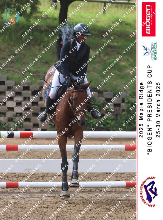 8841855 - dnk56joakswz2hc