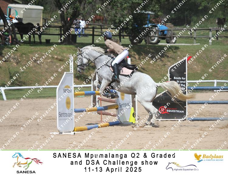 8950378 - j7dazxoa5kg8zya