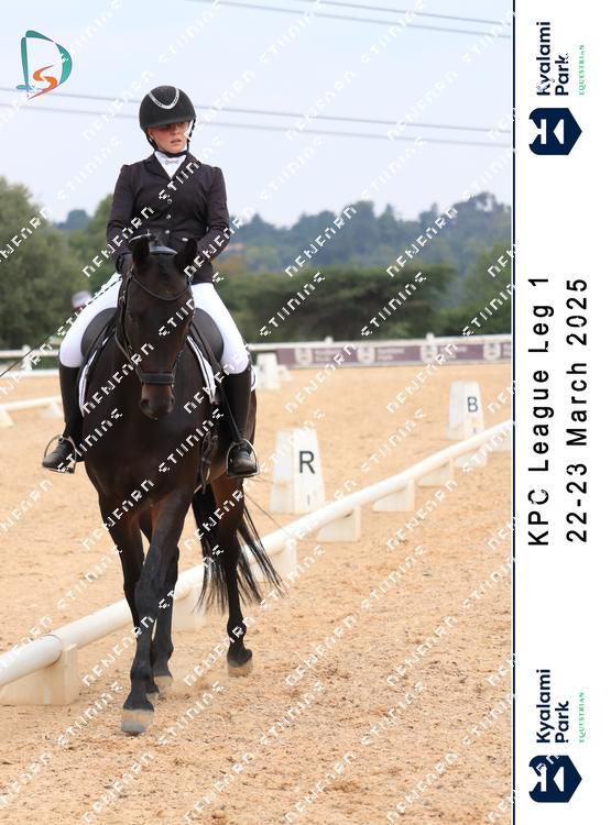8768891 - hkknuy85mvtr2cm