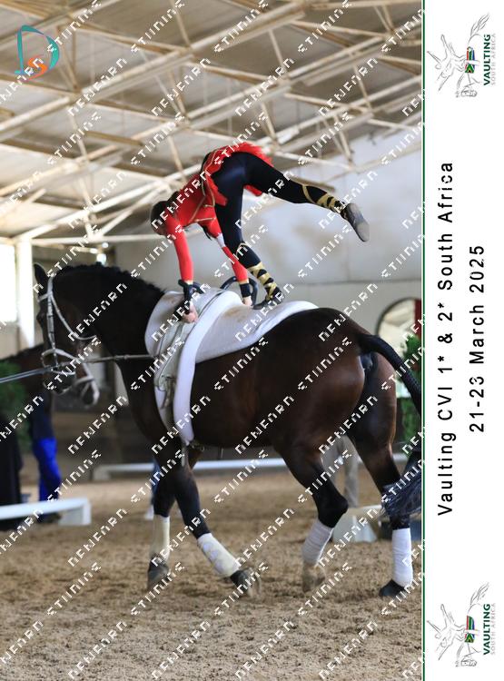 8752045 - tocx4hnudr7szmr
