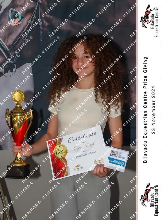 8133029 - disfmustmd9ge55