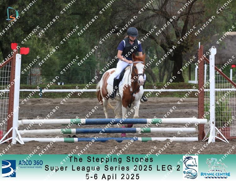 8901857 - irescks2gct9lpy