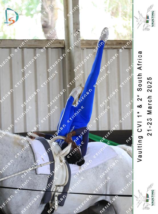 8751913 - g8pulptceglejvh