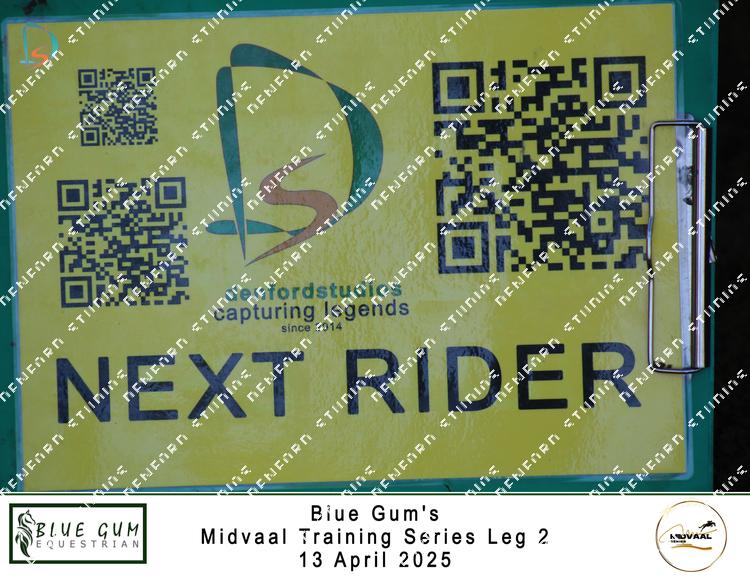 9006684 - jz5xz2phpgmqpnm