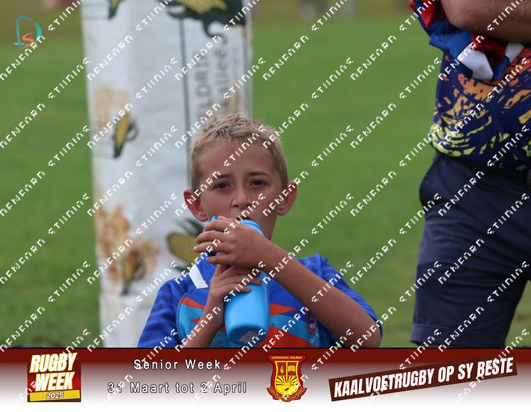 8881847 - vudxz7twr6ss8bz