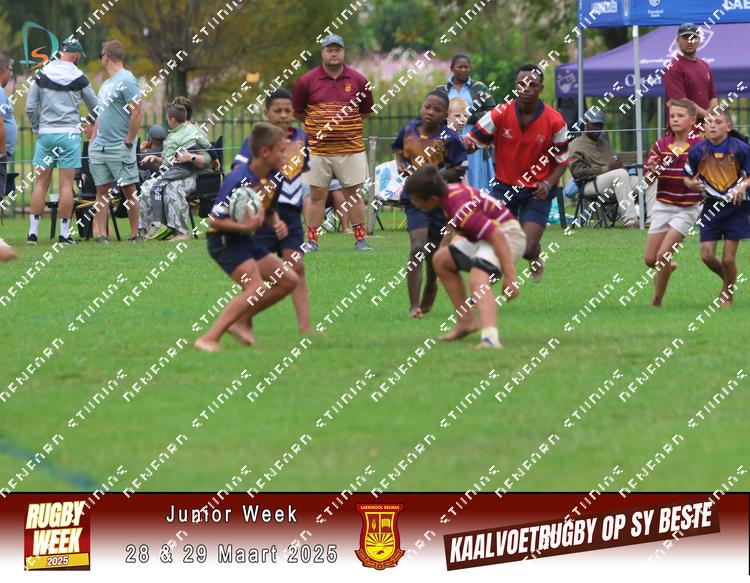 8831830 - fgkqtn85u7xcvdu