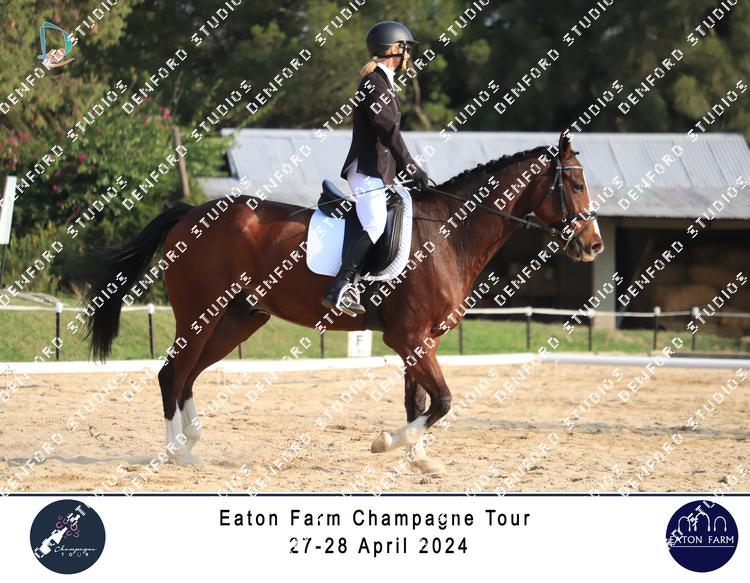 5302016 - fimuly3eggzfwrb