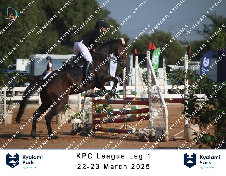 8753086 - f9gujvs9yvvvazh