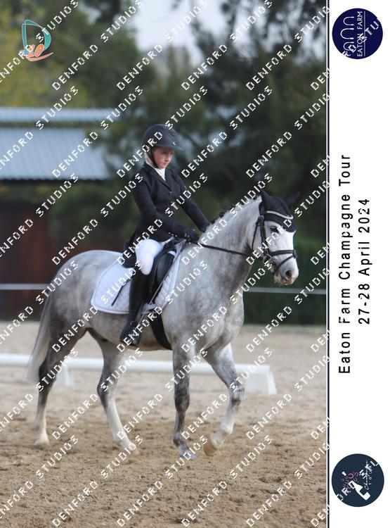 5277101 - gdf6flx6dvgey6x