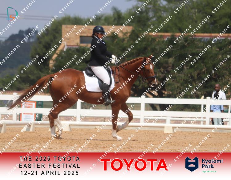 8972903 - szr4a84cthapolo